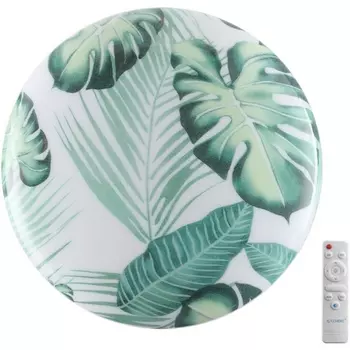 Настенно-потолочный светильник светодиодный Sonex Flori 7748/DL PALE SN пластик/белый/зеленый LED 48Вт 3000-6000К D380 IP43 пульт ДУ