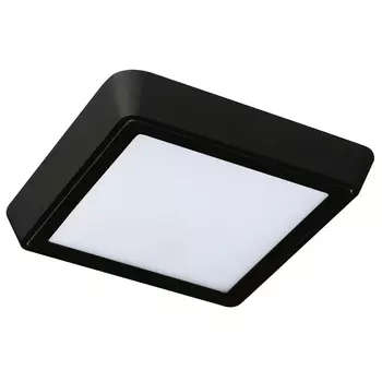 Настенно-потолочный светильник светодиодный Sq IP65 Lightstar URBANO 216874