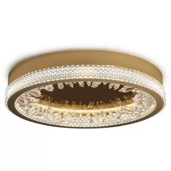 Настенно-потолочный светильник светодиодный XD-50 DeLight Collection XD gold