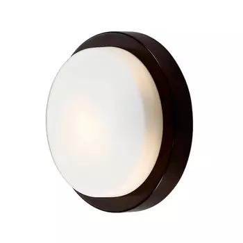 Настенно-потолочный светильник влагозащищенный Odeon Light Holger 2744/1C