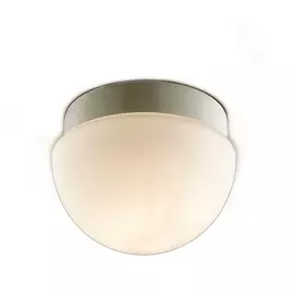 Настенно-потолочный светильник влагозащищенный Minkar 2443/1B (Odeon Light)