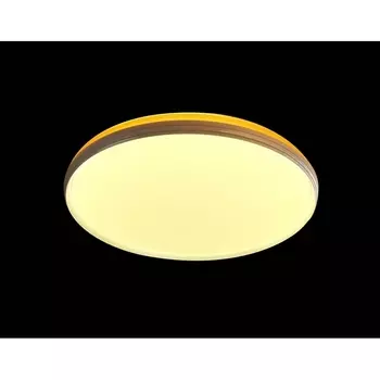 Настенно-потолочный светодиодный светильник Мелодия Света CW1L 000021513