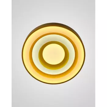 Настенно-потолочный светодиодный светильник Мелодия Света CW1L 000023441