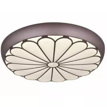 Настенно-потолочный светодиодный светильник Мелодия Света CW1L 000024764