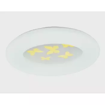 Настенно-потолочный светодиодный светильник Мелодия Света CW1L 000024988