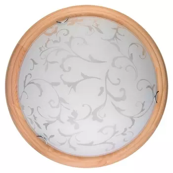 Настенно-потолочный светодиодный светильник Daniela TL9530Y-00PN (TopLight)