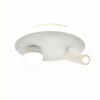 Настенно-потолочный светодиодный светильник Escada 20022LED 20022SMA/01LED SWH 22Вт, металл/акрил, белый