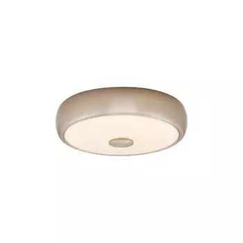 Настенно-потолочный светодиодный светильник Фостер-3 Citilux Foster-3 CL706321