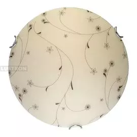 Настенно-потолочный светодиодный светильник Karissa TL9651Y-00WH (TopLight)