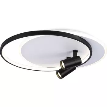 Настенно-потолочный светодиодный светильник с пультом Ambrella Comfort FL51392