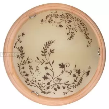 Настенно-потолочный светодиодный светильник TopLight Irene TL9630Y-00PN