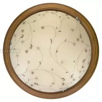 Настенно-потолочный светодиодный светильник TopLight Karissa TL9650Y-00OA