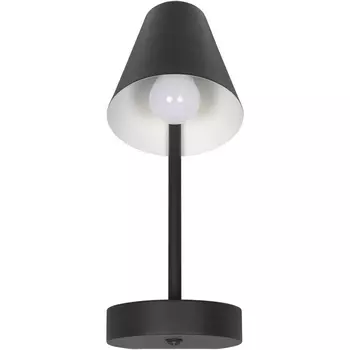 Настенный светильник Loft It Shelf 10216/1W Black