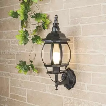 Настенный уличный 1001U черное золото / 9913-С Elektrostandard Farola GL