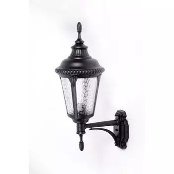 Настенный уличный фонарь IP44 Bl Oasis Light 79751S