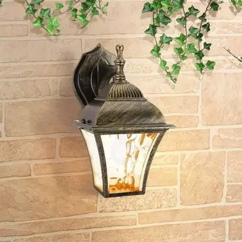 Настенный уличный фонарь IP33 1009D Elektrostandard Apus GL a043112