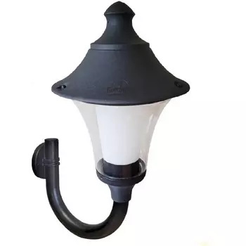 Настенный фонарь IP65 уличный Fumagalli Remo R50.251.000.AXH27