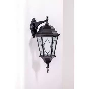 Настенный фонарь уличный IP44 Oasis Light ASTORIA 2M 91402M cover Bl овал