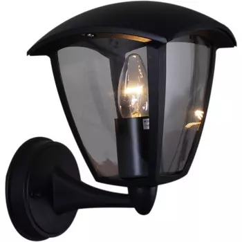 Настенный фонарь уличный IP54 Reluce 08301-9.2-001SJ BK