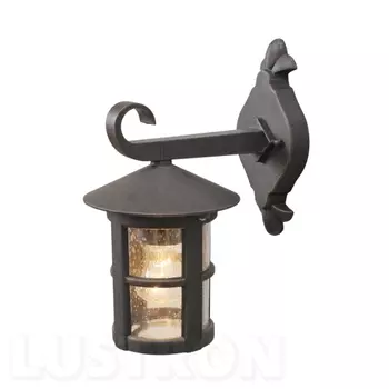 Настенный уличный Telaur DeMarkt Телаур 806020101