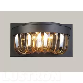 Настенный светильник Amber 1657-2W (Favourite)