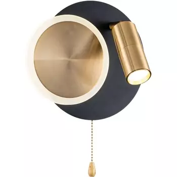 Настенный светильник светодиодный Arte Lamp Syrma A2213AP-2BK