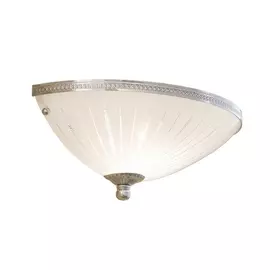 Настенный светильник CL912311 (Citilux)