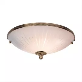 Настенный светильник CL912321 (Citilux)