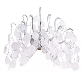 Настенный светильник Spumante 7288/26 AP-2 (Divinare)