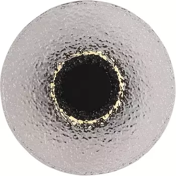 Настенный светильник ST Luce Alumno SL6142.411.01 черный/дымчатый LED 1*7W 4000K