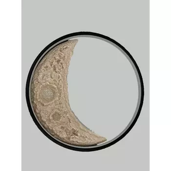 Настенный светильник светодиодный луна Alfa Light F0324-40