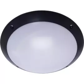 Настенный светильник уличный 41358 IP64 (Feron)