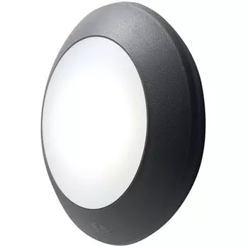 Настенный светильник уличный Fumagalli Bertina 1B1.000.000.AYG1L