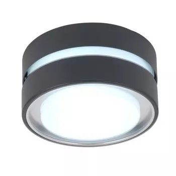 Настенный светильник уличный IP54 3351S (Oasis Light)