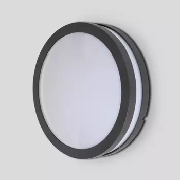 Настенный светильник уличный IP54 3362 (Oasis Light)