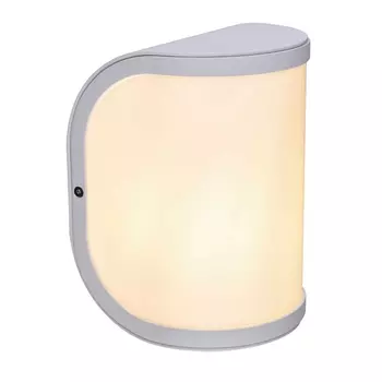 Настенный светильник уличный IP44 Globo Segga 32128W