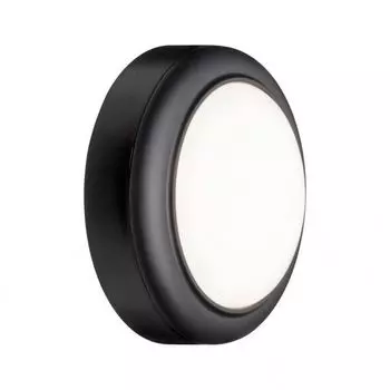 Настенный светильник уличный Wall Luminaire 94119 (Paulmann)