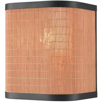 Настенный светильник Velante 568-701-01