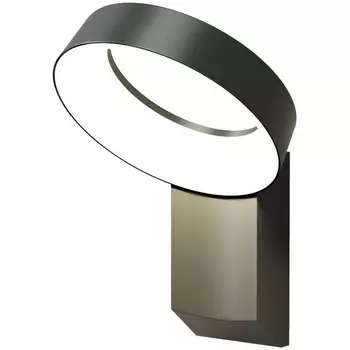 Настенный светодиодный уличный светильник IP65 Denkirs Sanvik DK9712-BK