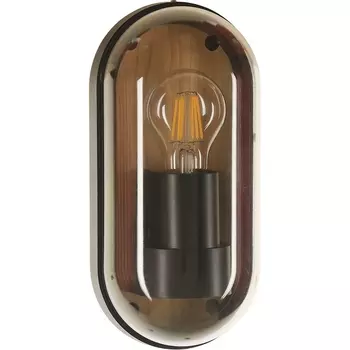 Настенный уличный светильник IP65 Arte Lamp A2481AL-1BR