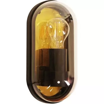 Настенный уличный светильник IP65 Arte Lamp A2481AL-1GO