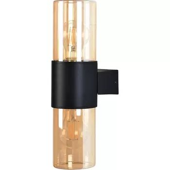 Настенный уличный светильник IP54 Arte Lamp A6515AL-2BK