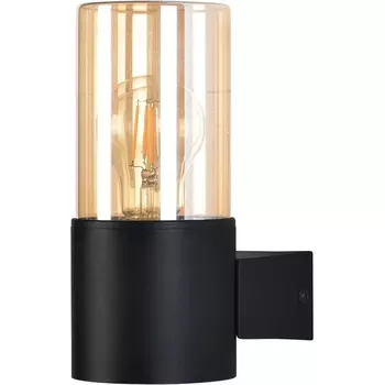 Настенный уличный светильник IP54 Arte Lamp A6515AL-1BK