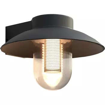 Настенный уличный светильник Favourite Lock 4384-1W