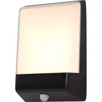 Настенный уличный IP44 LED светильник Maytoni Row O448WL-L9GF3KSR