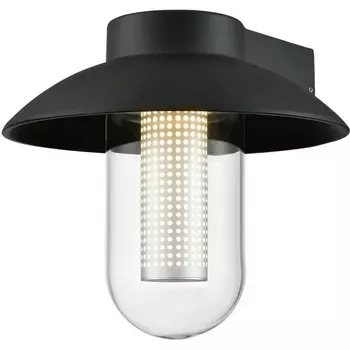 Настенный уличный IP54 LED светильник Wertmark Wella WE936.01.021