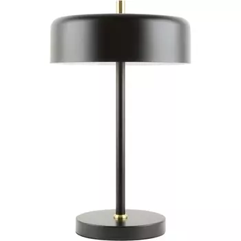 Настольная лампа Arte Lamp Skat A7052LT-2BK
