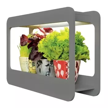 Настольная лампа для растений светодиодная с таймером ULT-P30-15W/SPFS IP40 Uniel GREY