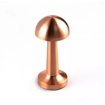 Настольная лампа Escada Evo 10257/L LED 3Вт, 13000/4000/6000K, металл/акрил, золото/белый