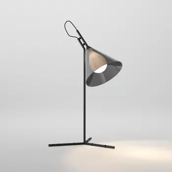 Настольная лампа Eurosvet Enigma 01186/1